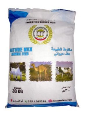 Screenshot 2026-01-19 105127